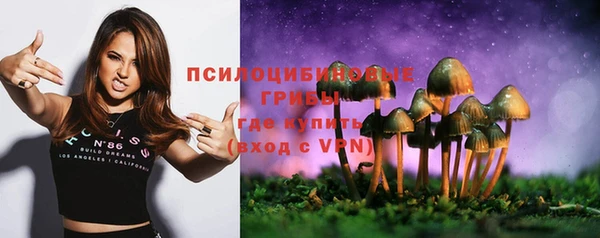 трава Нягань