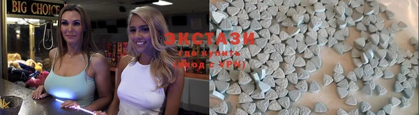 соль ск Новозыбков