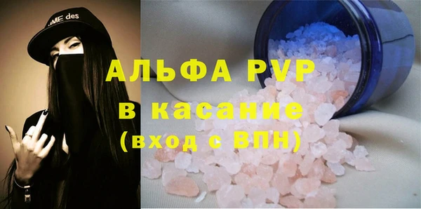 соль ск Новозыбков