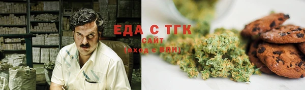 соль ск Новозыбков