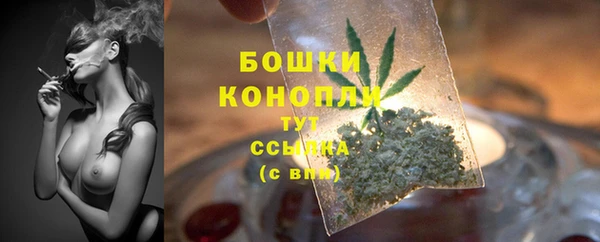 индика Няндома