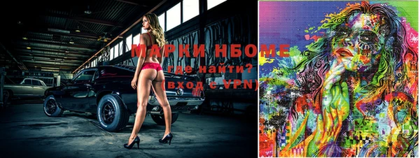 индика Няндома