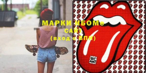 соль ск Новозыбков