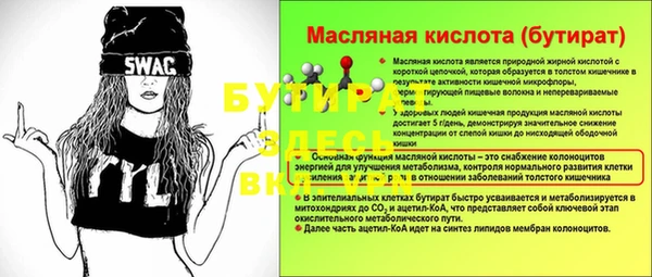 индика Няндома