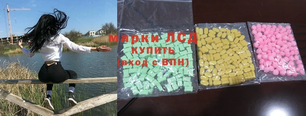 индика Няндома