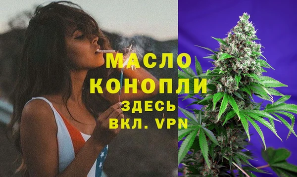 соль ск Новозыбков