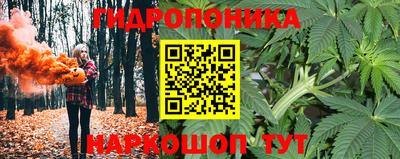 гашик Волжск