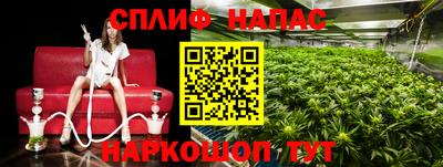 гашик Волжск