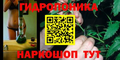 гашик Волжск