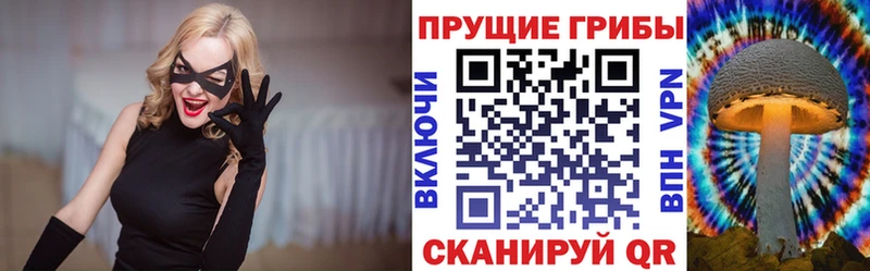 Галлюциногенные грибы Psilocybe  Кимовск 