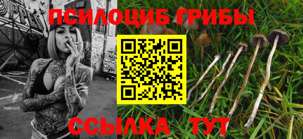Псилоцибиновые грибы MAGIC MUSHROOMS Кимовск