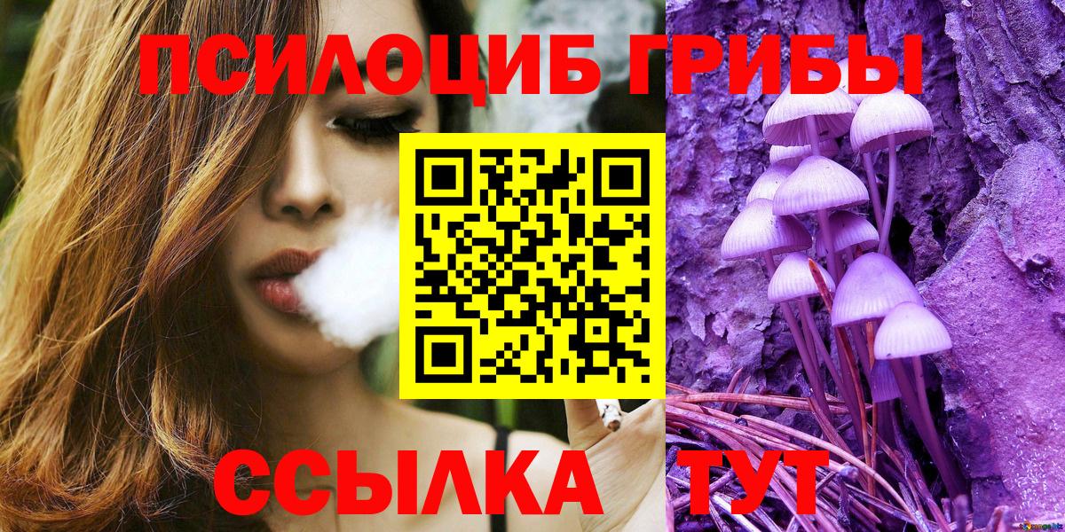 Кимовск  Псилоцибиновые грибы Psilocybe  Вход с VPN 