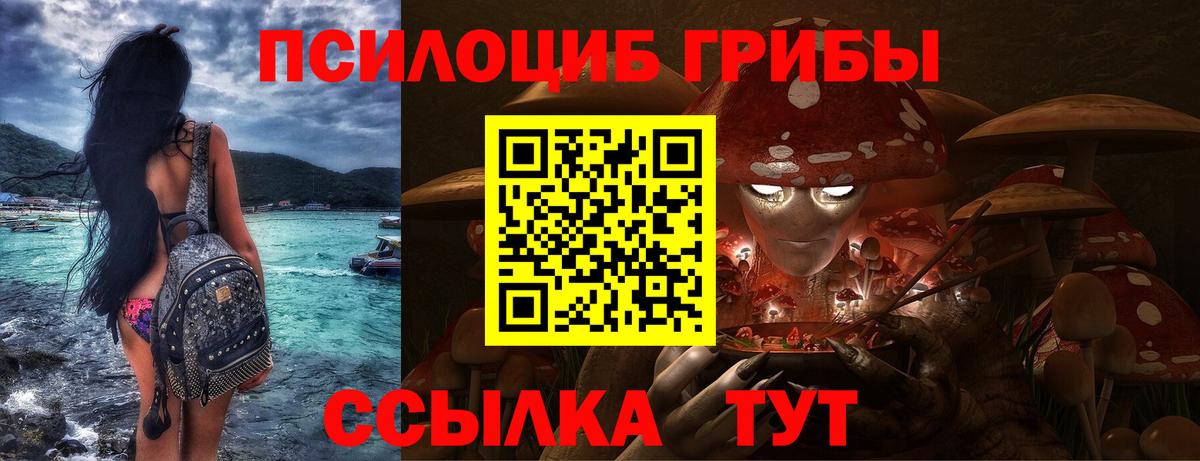 Галлюциногенные грибы Psilocybine cubensis  Галлюциногенные грибы мицелий  Кимовск 